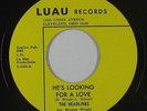 Northern Soul 45 - Headlines - He's Looking For A Love - Luau - NM mp3