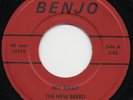 THE NEW BREED my baby*she's fallen for you 1966 US BENJO GARAGE 45 LISTEN TO IT