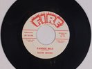 BUSTER BROWN: Fannie Mae / Lost in a Dream FIRE R&B Orig 45 NM- Superb