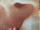 Pink Floyd - Meddle - Harvest SHVL 795 - UK 1971