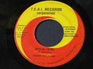 Renee Williams   Special To Me   T.E.A.I. Detroit 70's modern sweet soul 45 HEAR