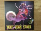 Yeah Yeah Yeahs - Mosquito Vinyl (Signed)