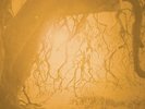 Golden Void Self Titled LP on Black vinyl + Download code