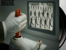 Muse - Drones LP VINYL