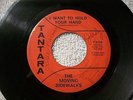 45 The Moving Sidewalks/Tantara T-3108 