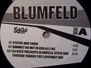 Blumfeld - Status Quo Vadis 12