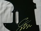 Francis Rossi Status Quo signed black fender scratch plate  AFTAL PROOF