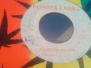 The Prophet* ?– Warn The Nation    /  7''  - VG+  /  Listen