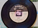 Big Bob Dougherty 45 Honky / Squeezer 1959 R&B Sax Instro Golden Crest VG+