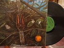 Dragonfly on Megaphone Orig issue Acid Heavy Psych Lp
