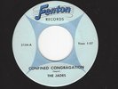 RARE MICHIGAN PUNK/GARAGE- THE JADES- 