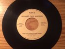 MEMPHIS MODERN SOUL 45 RICHARD CARL WATSON ARE YOU GOING TO BE THERE RAYS HEAR