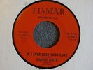 NORTHERN SOUL 45 Harold Smith If You Ever Lose Your Love Lu-Mar 100  M-  HEAR IT