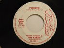 Jimmy Rabbit+Karats 45 PUSHOVER / WAIT AND SEE   Southern Sound VG garage