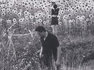 Sun Kil Moon - Jesu/Sun Kil Moon