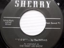 THE INITIALS doowop 45 YOU b/w BELLS OF JOY the TERRY LEE SHOW mint minus  F1426