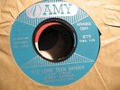 JERRY LANDIS THE LONE TEEN RANGER COOL ROCK 45 ON PROMO AMY 875  LISTEN  M-