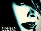 MARILYN MANSON Born Villain 180gm Vinyl 2 x LP With MP3 D/L  Gatefold NEW SEALED