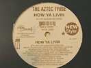 Aztec Tribe - How Ya Livin - SEALED - 1993 Random Rap