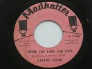 LIVING COLOR Thank The Lord For Love Madhatter Northern Soul 45 HEAR
