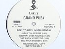 Grand Puba 