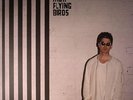 NOEL GALLAGHER'S HIGH FLYING BIRDS - Chasing Yesterday - Vinyl (LP)
