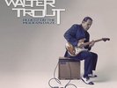 TROUT,WALTER-BLUES FOR THE MODERN DAZE  (US IMPORT)  VINYL LP NEW