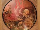 Marillion: Acoustic Concert Picture Disc LP