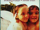 SMASHING PUMPKINS Siamese Dream [PA] 1st Press SEALED 1993 Caroline 2LP Vinyl