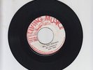 LIVING MUSIC/ WE ARE AFRICANS  -  JAH TED  (75 REGGAE ROOTS 7
