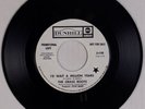 THE GRASS ROOTS: I’d Wait a Million Times USA DUNHILL DJ Promo 45 Superb NM-