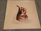NK ?Nothing To Be Gained Here Vinyl LP envy on the coast dillinger escape plan