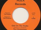 CHROMOTONES on Agla —FASHIONS OF THE 80's— san diego power pop punk 45 | LISTEN