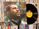 MARVIN GAYE 
