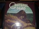 LP THE GRATEFUL DEAD Wake Of The Flood GD-01 NM