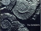 THE SUNDAYS - Reading, Writing & Arithmetic - RARE 1990 UK PICTURE DISC vinyl LP