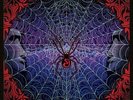 STRING CHEESE INCIDENT-TRICK OR TREAT (LTD) (BOX)-CD11 SCI FIDELITY NEU