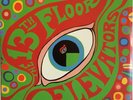 The 13th Floor Elevators 