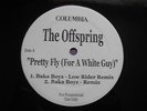 The Offspring - Pretty Fly (For A White Guy) 12