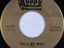 THE DE-LITES: Lover / Tell Me Why CUPPY Northern Soul MONSTER 45 Rare