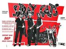 Stray Cats art print 440mm x 300mm Brian Setzer Slim Jim rockabilly