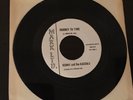 KENNY and the KASUALS Journey To Tyme / I'm Gonna Make It MARK LTD Garage Rock