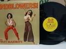THE VAST MAJORITY Mindblowers LP Vinyl Record Private Disco Funk Breaks