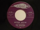 The Whispers 45 NEVER AGAIN / SLOW JERK (instrumental)   Dove VG++ soul