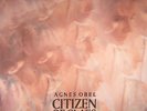 OBEL, Agnes - Citizen Of Glass - Vinyl (LP)