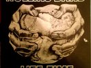 Rollins Band / Henry Rollins Life Time Original 1988 N Mint