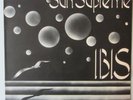 Ibis ?-Sun Supreme- Italy 1st Polydor 1974 *OIS*