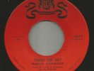 ROCKABILLY - MARVIN RAINWATER- w LINK WRAY- TOUGH TOP CAT -HEAR -1962 WARWICK.