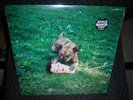 JOYCE MANOR **CODY **BRAND NEW RECORD LP VINYL   free download