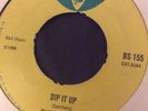 Skinhead reggae Blue Cat